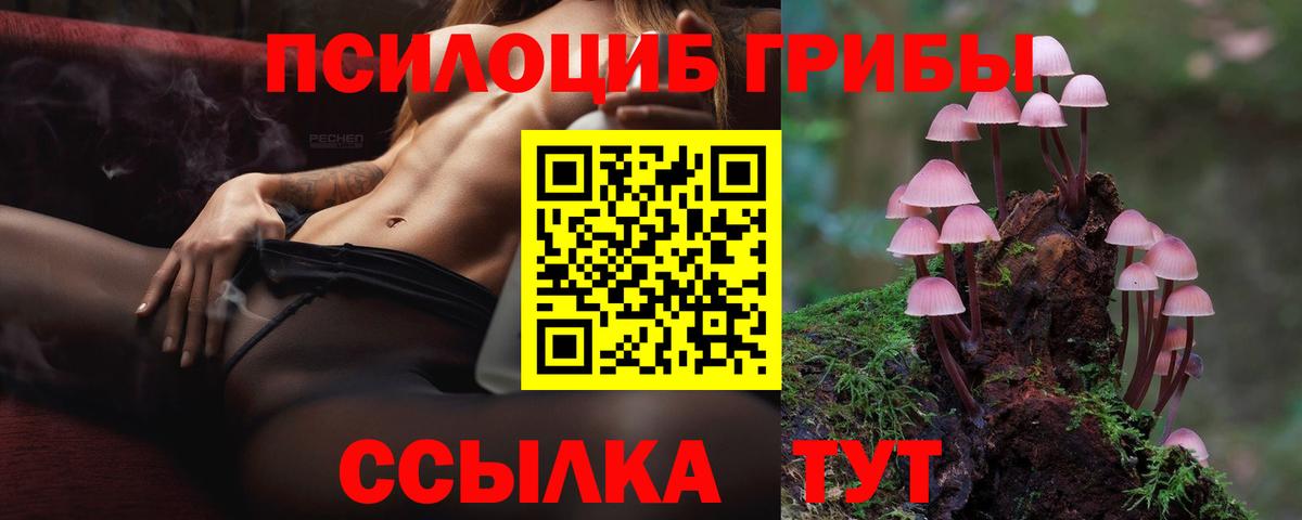 Лиски  Галлюциногенные грибы Cubensis  Галлюциногенные грибы прущие грибы  Вход с VPN 